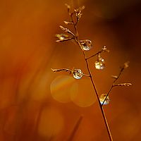 2012-05-21 07-06-30