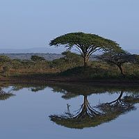 2012-05-25 07-33-25