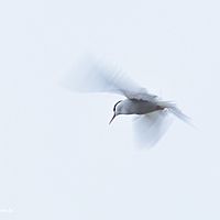 2014-07-03 11-56-24-2