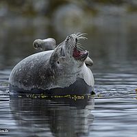 2014-07-03 14-11-08