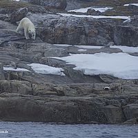 2014-07-04 14-07-23