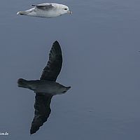 2014-07-07 08-50-22