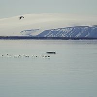 2014-07-07 12-04-35-2