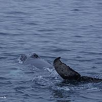 2014-07-08 00-55-30