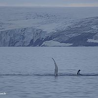 2014-07-08 01-52-31