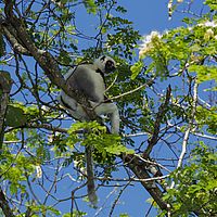 2015-04-12 09-00-36