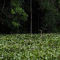 2015-04-12 12-13-12