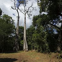 2015-04-12 13-59-45
