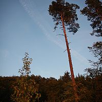 05-09-2010 19-35-59