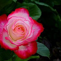 26-06-2010 09-30-35
