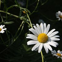 26-06-2010 09-36-55