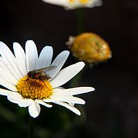 26-06-2010 09-40-10
