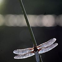 10-07-2010 17-22-46