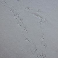 2010-12-19 09-55-34