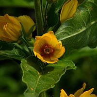26-06-2010 11-59-14