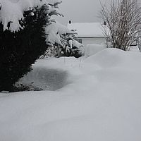 2010-12-21 10-19-12