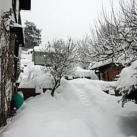 2010-12-21 10-19-36
