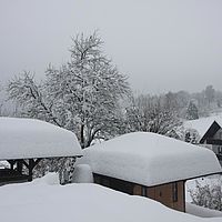 2010-12-21 10-20-39