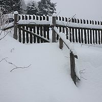2010-12-21 10-21-32