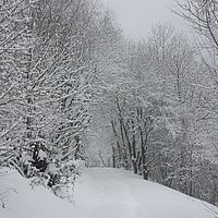 2010-12-21 10-22-19