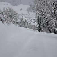 2010-12-21 10-25-08