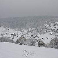 2010-12-21 10-30-02