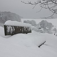 2010-12-21 10-30-51