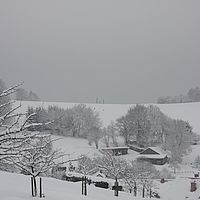 2010-12-21 10-31-51