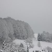 2010-12-21 10-33-33