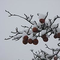2010-12-21 10-34-29