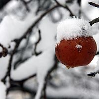 2010-12-21 10-34-52