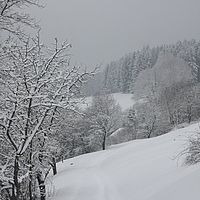2010-12-21 10-37-24