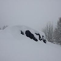 2010-12-21 10-41-48
