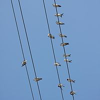 21-08-2010 10-55-53