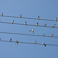 21-08-2010 10-57-06