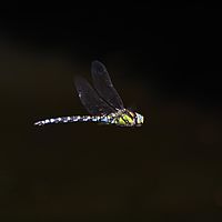 21-08-2010 12-13-18