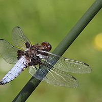 26-06-2010 13-11-03