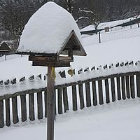 2010-12-25 13-17-22