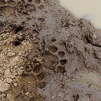 2018-02-07 07-23-54