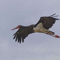 2018-02-22 16-20-34-4