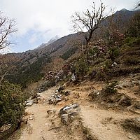 2013-05-08 09-08-31