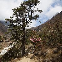 2013-05-08 09-12-24