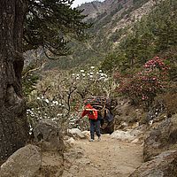 2013-05-08 09-14-05