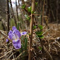 2013-05-08 09-33-17