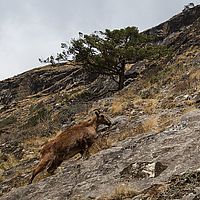 2013-05-08 09-46-49