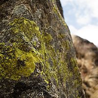 2013-05-08 12-30-58