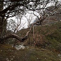 2013-05-08 12-48-44