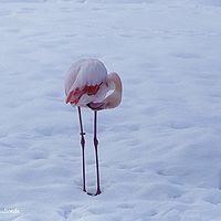 2015-02-28 14-24-59