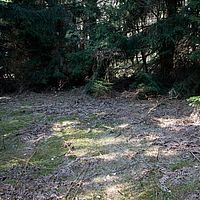 2011-03-20 13-52-05