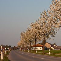 2011-04-20 18-12-42